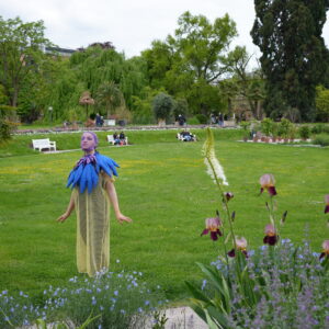 fool for a plant, 2020