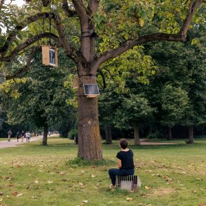 Radical Climate Action Bird, 2025