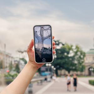 Treespotting AR, 2025