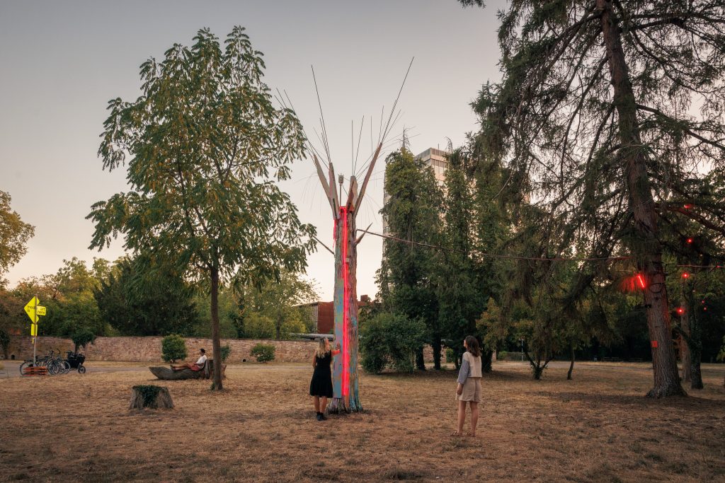 Licht- und Soundinstallation in einem toten Baum im Fasanengarten in der Dämmerung. - Copyright: meteo flux – eine Symphonie der Atmosphäre, Lucile Schwörer-Merz, 2026. © Stadt Karlsruhe, Kulturamt, Foto: Felix Grünschloß
